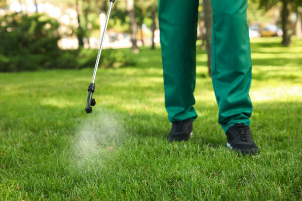 Best Wildlife Control Services  in Port Sulphur, LA