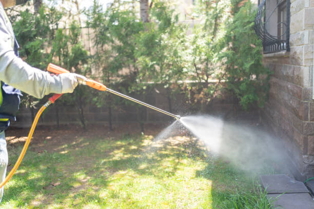 Insect Control in Port Sulphur, LA