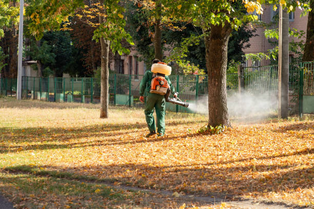 Best Termite Control Services  in Port Sulphur, LA