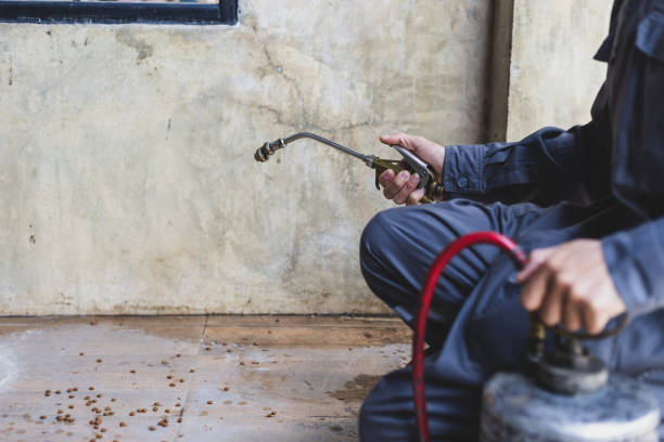 Best Local Pest Control Services  in Port Sulphur, LA